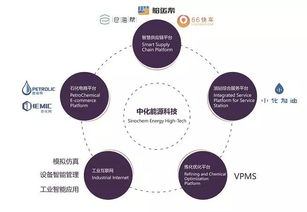 3年营收复合增长率提升5倍 中化能源科技提供数字石化新路径